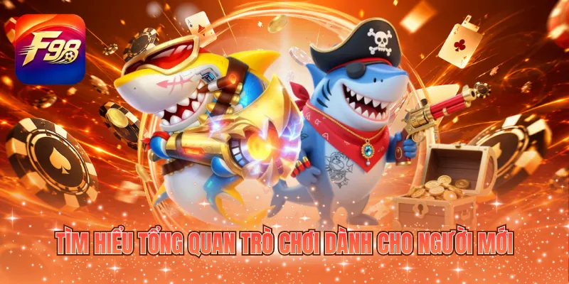 Tìm hiểu tổng quan trò chơi dành cho người mới